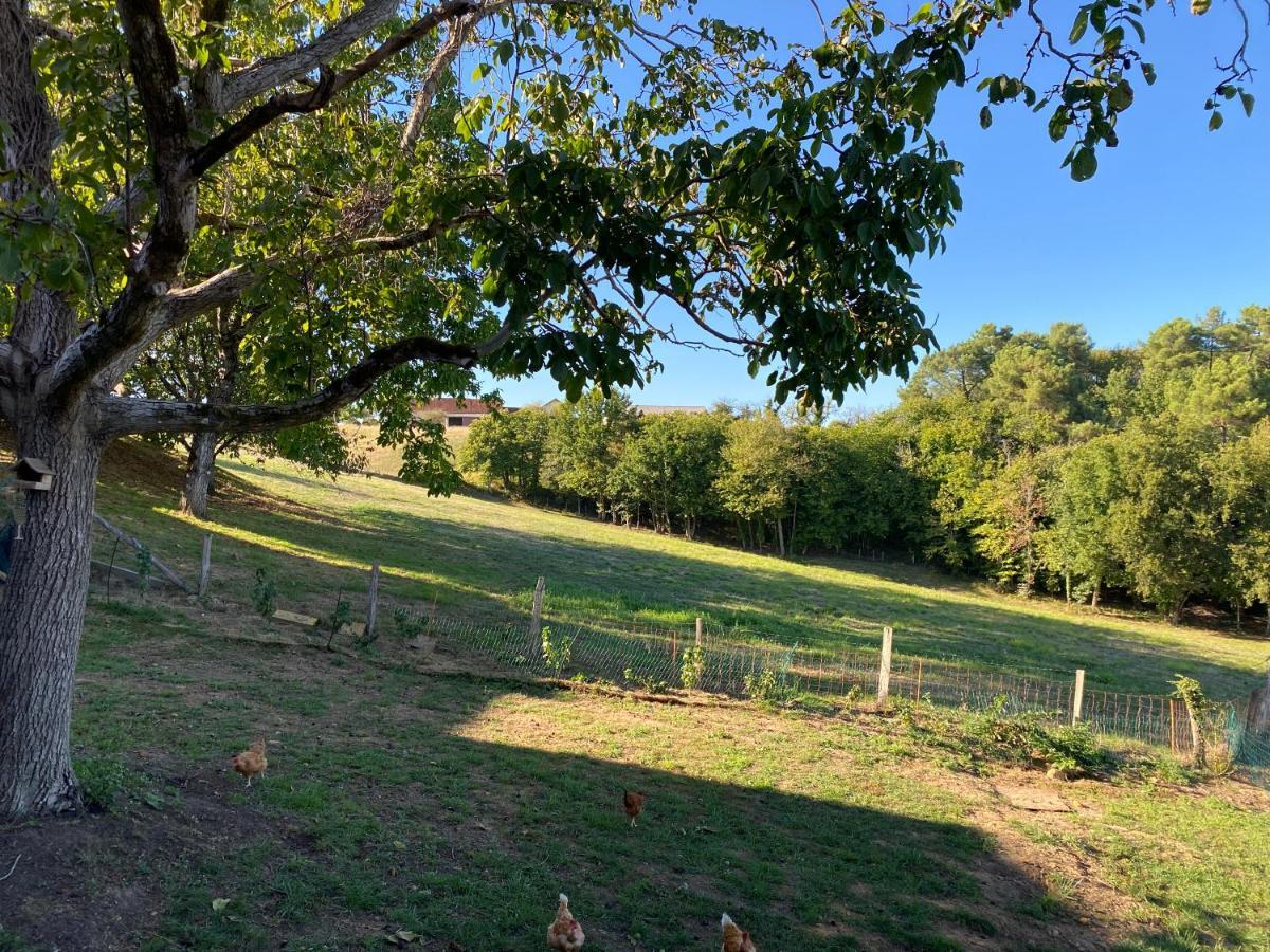 Le Gite De La Villenie - En Pleine Nature - 5 Min Centre Ville De Sarlat מראה חיצוני תמונה